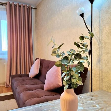 Apartment На Стрелке С Красивым Видом На Иртыш Öskemen Bagian luar foto