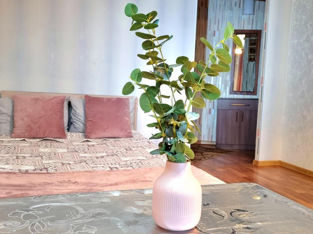 Apartment На Стрелке С Красивым Видом На Иртыш Öskemen Bagian luar foto