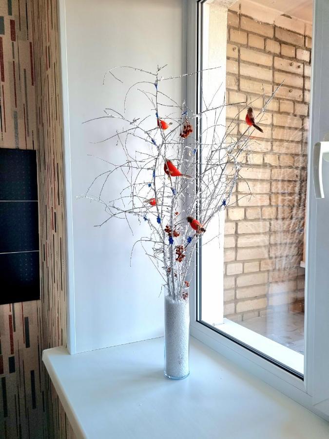 Apartment На Стрелке С Красивым Видом На Иртыш Öskemen Bagian luar foto