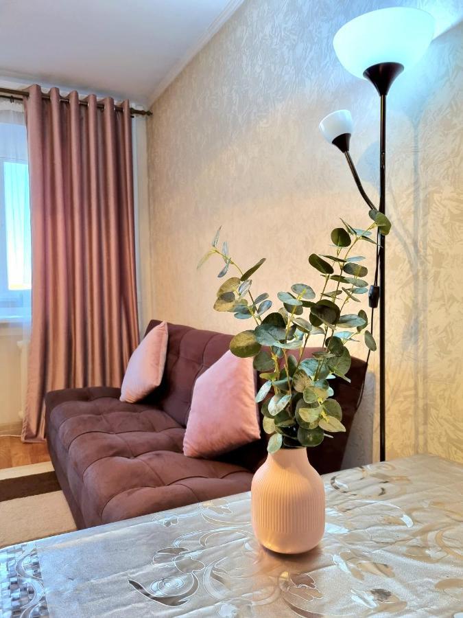 Apartment На Стрелке С Красивым Видом На Иртыш Öskemen Bagian luar foto